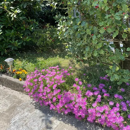 A Casa Da Marina Apartament Pieve Vergonte